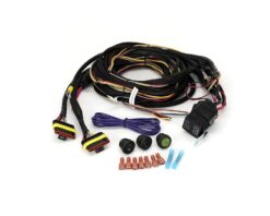 Καλωδίωση δύο λαμπτήρων - Μακριά (6-Pin, Superseal, 12V) 3.5m