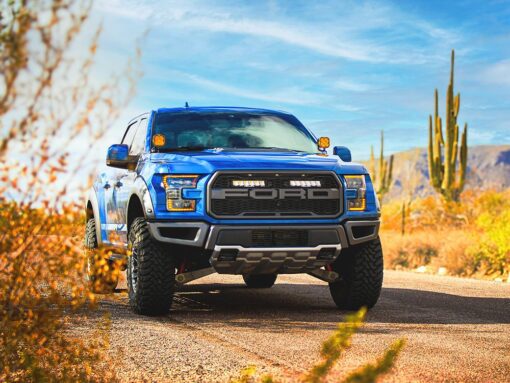 Σετ γρίλιας για Ford F-150 Raptor (2017-2020) με Carbon 6