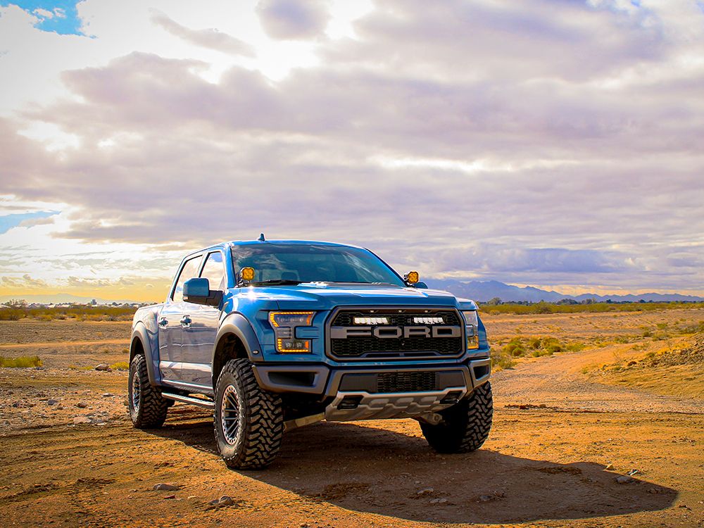 Σετ γρίλιας για Ford F-150 Raptor (2017-2020) με Carbon 6 - Image 9